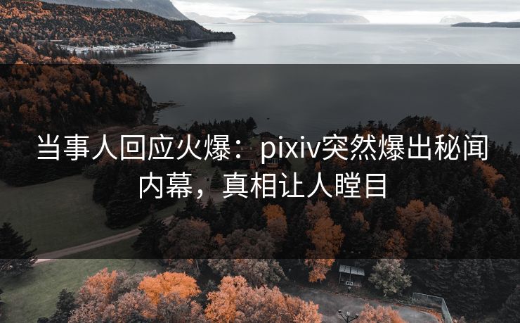 当事人回应火爆：pixiv突然爆出秘闻内幕，真相让人瞠目