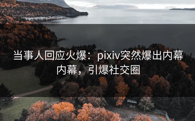 当事人回应火爆：pixiv突然爆出内幕内幕，引爆社交圈
