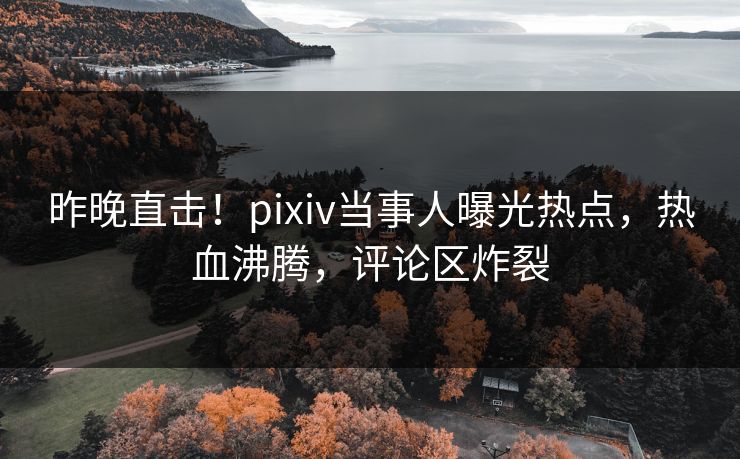 昨晚直击！pixiv当事人曝光热点，热血沸腾，评论区炸裂