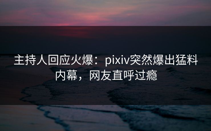 主持人回应火爆：pixiv突然爆出猛料内幕，网友直呼过瘾