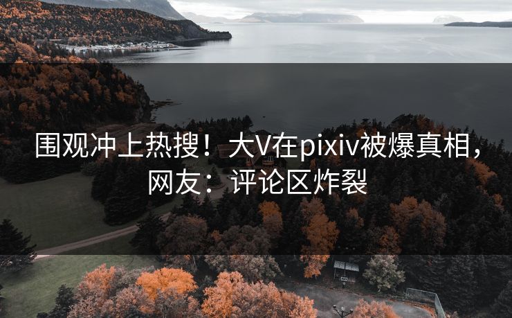 围观冲上热搜！大V在pixiv被爆真相，网友：评论区炸裂