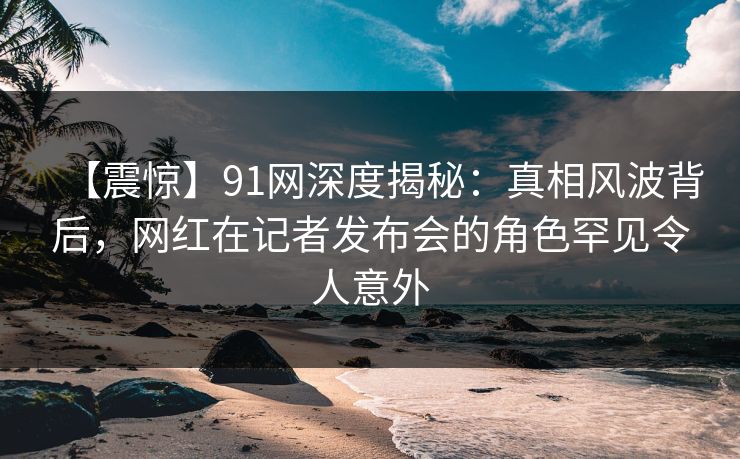 【震惊】91网深度揭秘：真相风波背后，网红在记者发布会的角色罕见令人意外