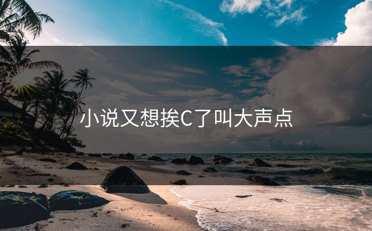 小说又想挨C了叫大声点